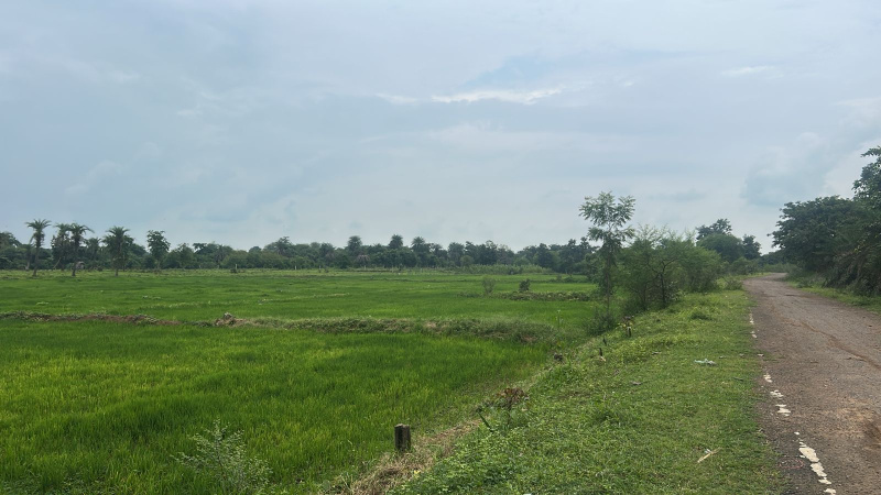  Agricultural Land 6 Acre for Sale in Abhanpur, Raipur