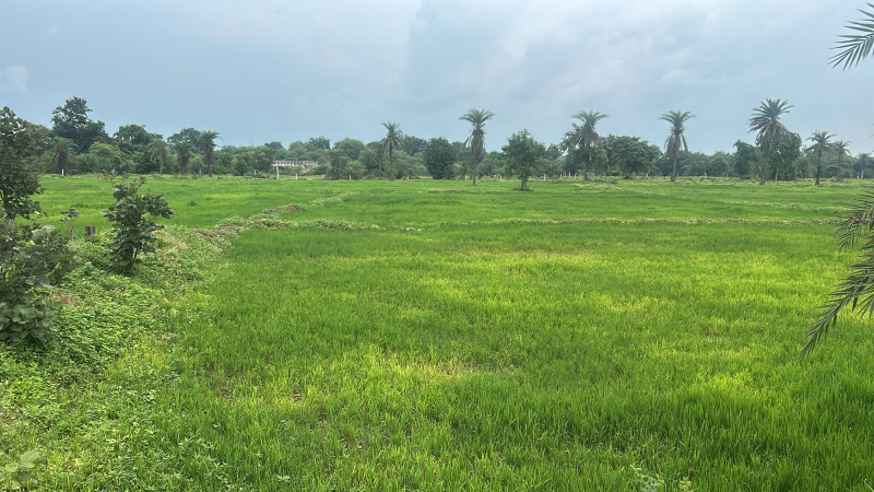  Agricultural Land 6 Acre for Sale in Abhanpur, Raipur