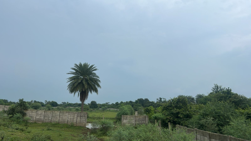  Agricultural Land 7 Acre for Sale in Tilda, Raipur