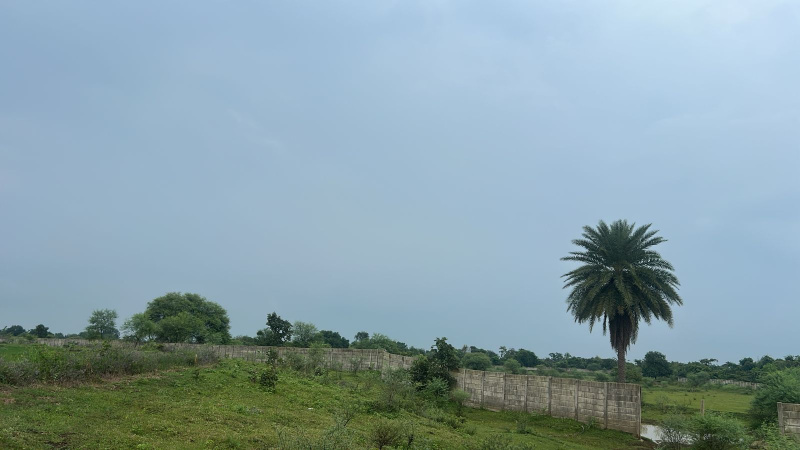  Agricultural Land 7 Acre for Sale in Tilda, Raipur