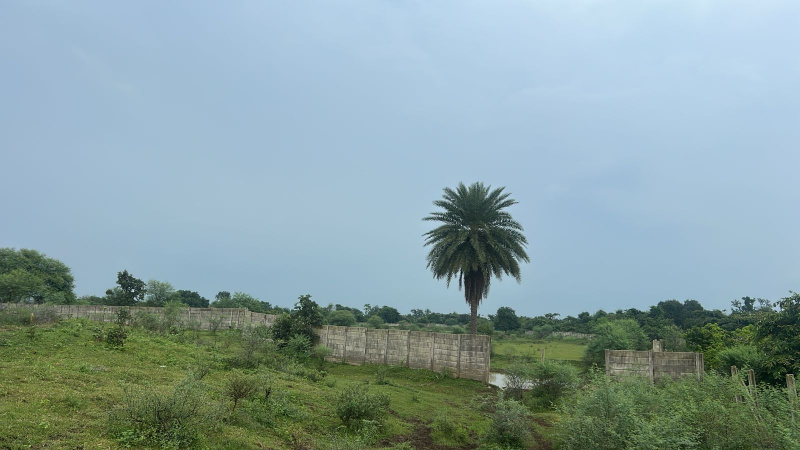  Agricultural Land 7 Acre for Sale in Tilda, Raipur