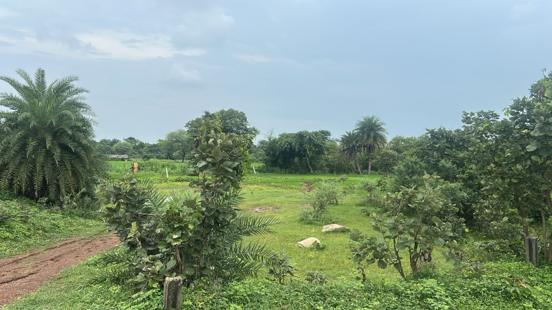  Agricultural Land 16 Acre for Sale in Arang, Raipur