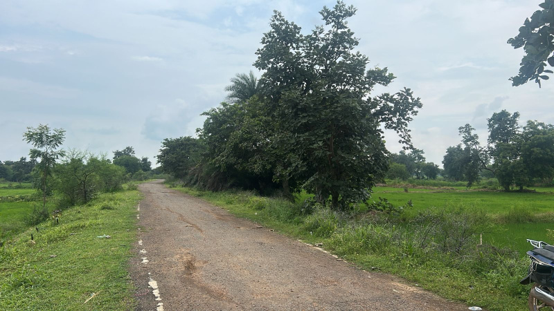  Agricultural Land 200 Acre for Sale in Shahpura, Dindori