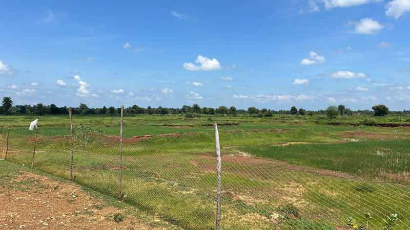  Industrial Land 25 Acre for Sale in Arang, Raipur