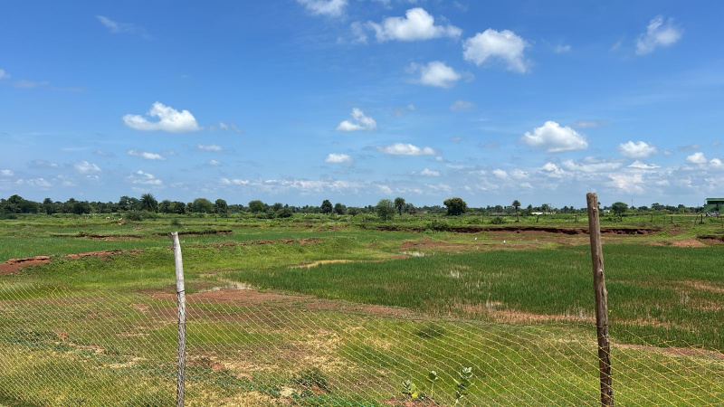  Industrial Land 25 Acre for Sale in Arang, Raipur