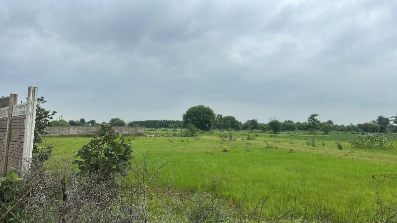  Residential Plot 1000 Sq.ft. for Sale in Boria Kalan, Raipur