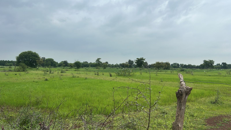  Residential Plot 1100 Sq.ft. for Sale in Boria Kalan, Raipur
