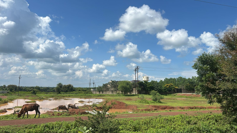  Agricultural Land 12 Acre for Sale in Arang, Raipur