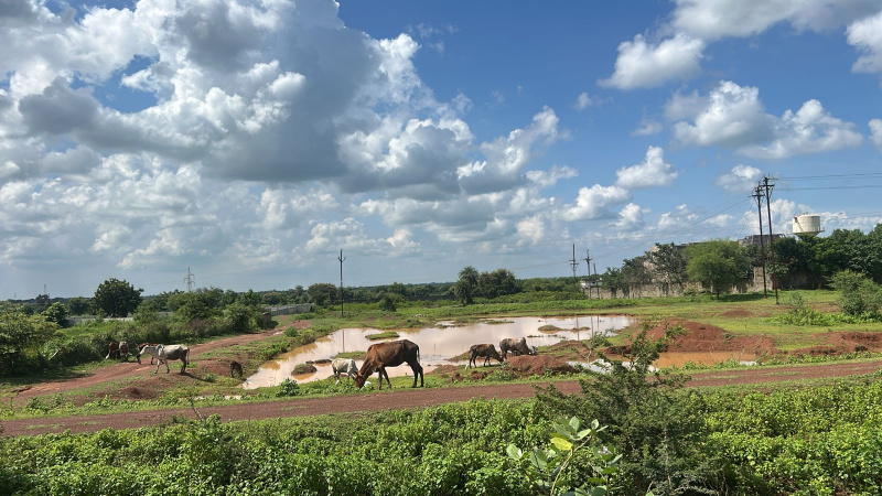  Agricultural Land 12 Acre for Sale in Arang, Raipur