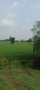  Agricultural Land for Sale in Dharsiwa, Raipur