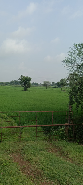 Agricultural Land 18 Acre for Sale in Dharsiwa, Raipur
