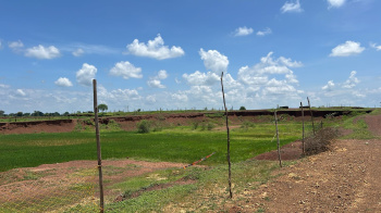  Agricultural Land for Sale in Khamadi, Raipur