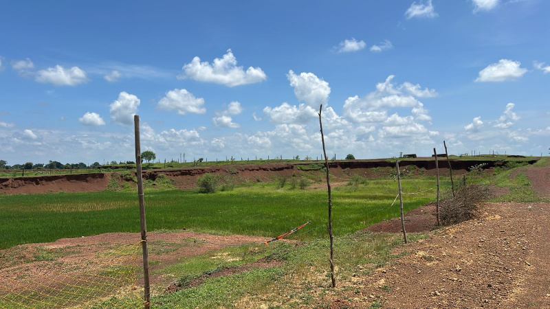  Agricultural Land 25 Acre for Sale in Khamadi, Raipur