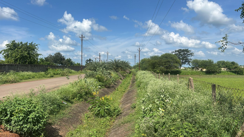  Industrial Land 10 Acre for Sale in Purena, Raipur