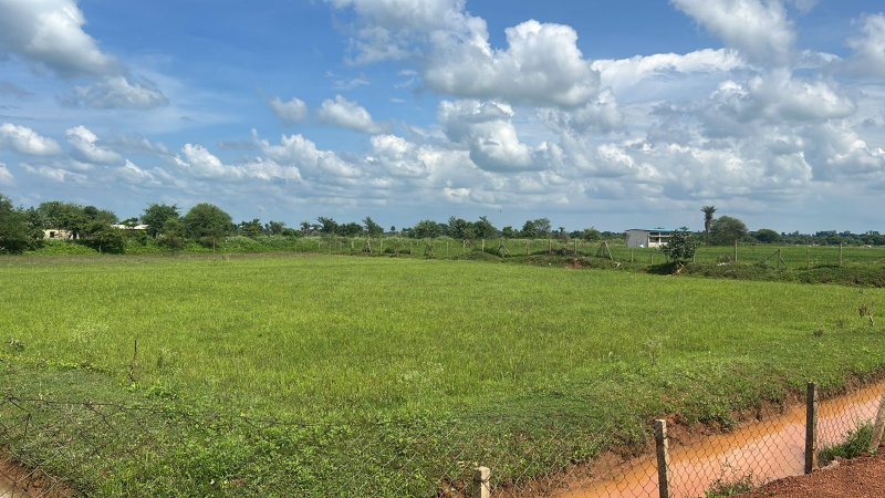  Industrial Land 10 Acre for Sale in Purena, Raipur
