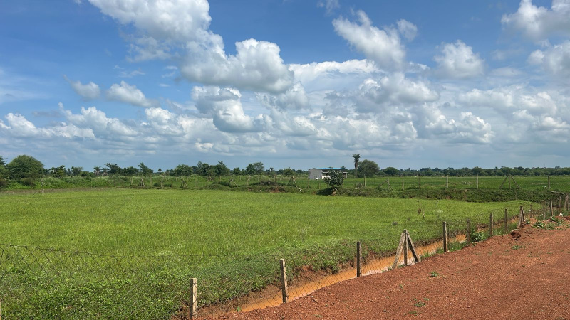  Industrial Land 10 Acre for Sale in Purena, Raipur