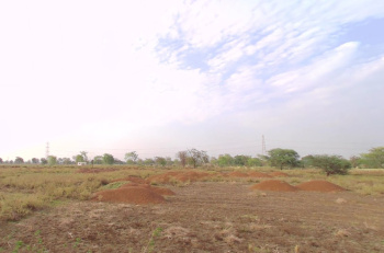  Agricultural Land for Sale in Pirda, Raipur