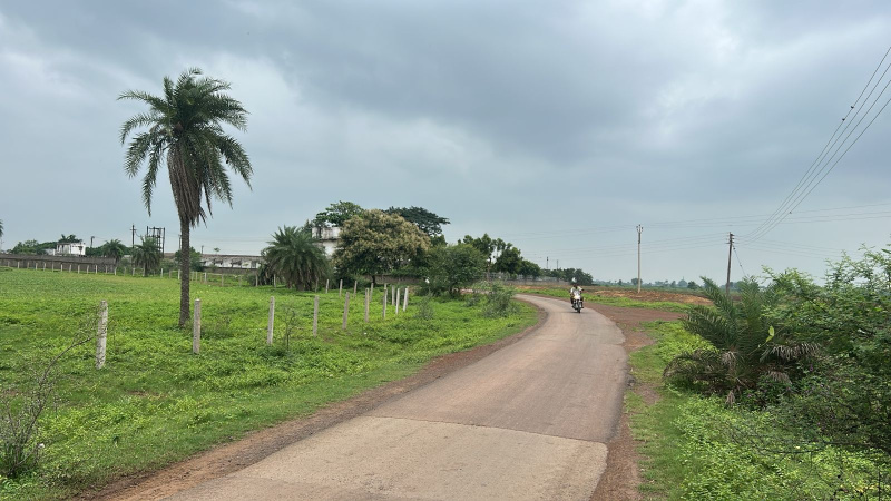  Agricultural Land 8 Acre for Sale in Gogaon, Raipur
