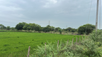  Agricultural Land for Sale in Jaistambh Chowk, Raipur