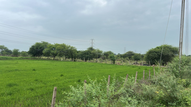  Agricultural Land 10 Acre for Sale in Jaistambh Chowk, Raipur