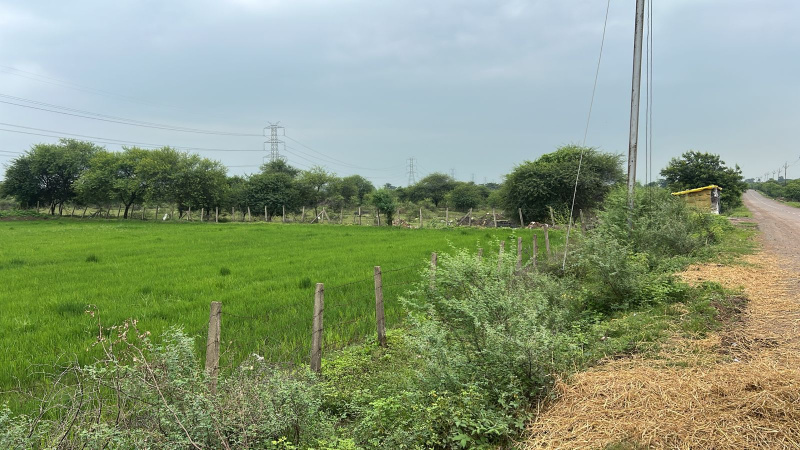  Agricultural Land 10 Acre for Sale in Jaistambh Chowk, Raipur