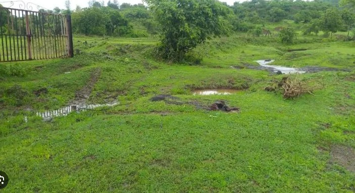  Commercial Land 2325 Sq.ft. for Sale in Jivan Vihar, Raipur