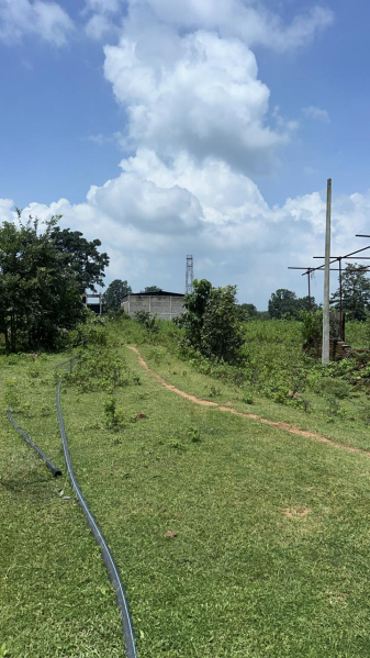  Agricultural Land 120 Acre for Sale in Mahadev Ghat Road, Raipur