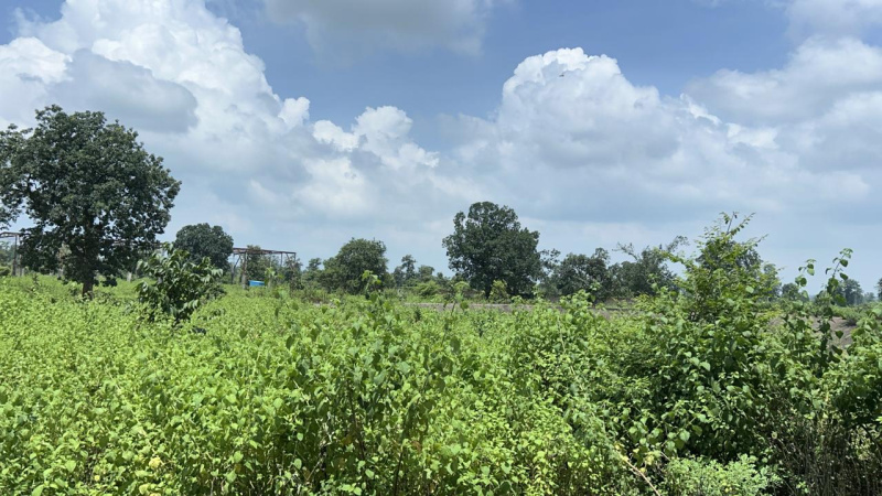  Agricultural Land 120 Acre for Sale in Mahadev Ghat Road, Raipur