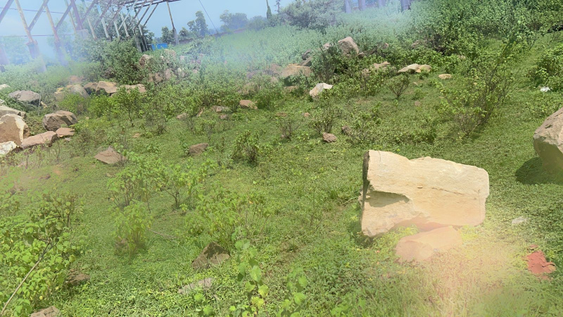  Agricultural Land 120 Acre for Sale in Mahadev Ghat Road, Raipur