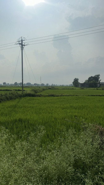  Agricultural Land 24832 Sq.ft. for Sale in Baronda Road, Raipur