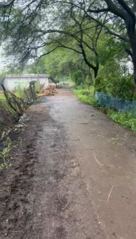  Agricultural Land for Sale in Telibandha, Raipur