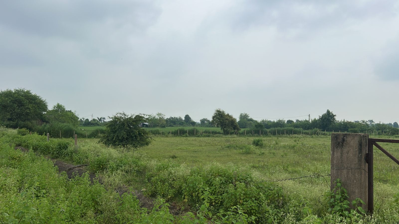  Industrial Land 7 Acre for Sale in Urla, Raipur
