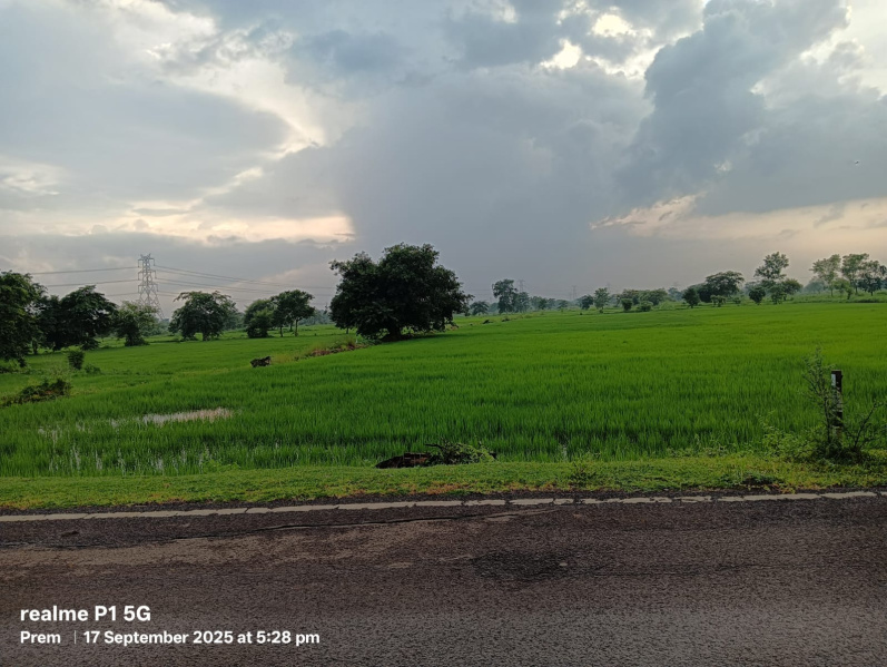 Industrial Land 13 Acre for Sale in Siltara, Raipur