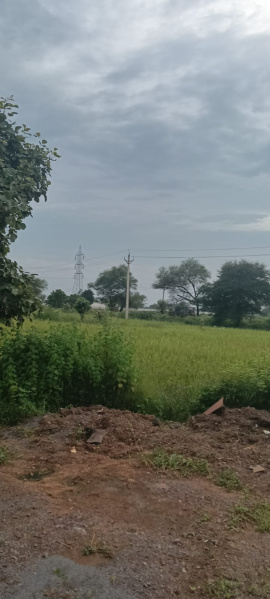  11 Acre Agricultural/Farm Land for Sale in Old Dhamtari Road, Raipur