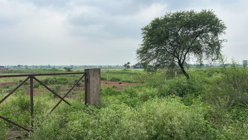  12 Acre Agricultural/Farm Land for Sale in Mandir Hasaud, Raipur