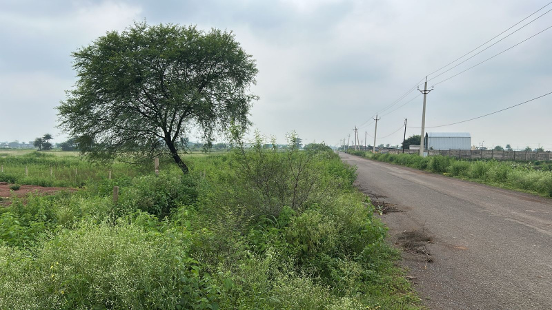  12 Acre Agricultural/Farm Land for Sale in Mandir Hasaud, Raipur
