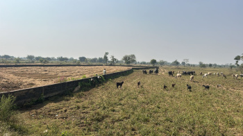 Agricultural Land for Sale in Mandir Hasaud, Raipur