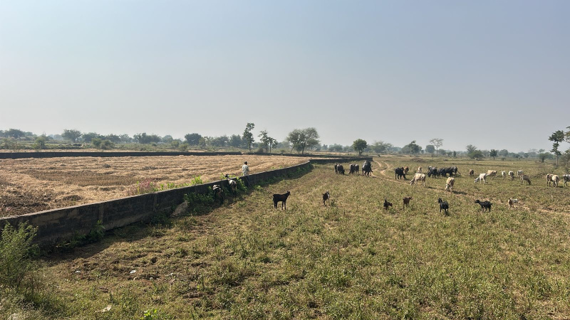  10 Acre Agricultural/Farm Land for Sale in Mandir Hasaud, Raipur