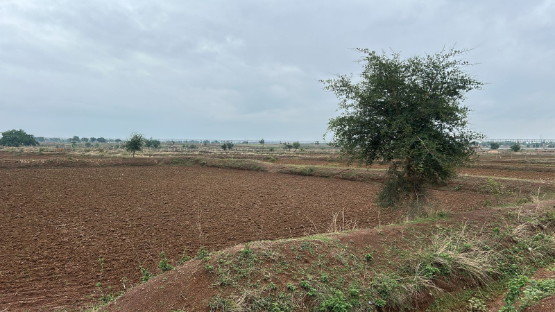  5 Ares Agricultural/Farm Land for Sale in Ahiwara, Durg