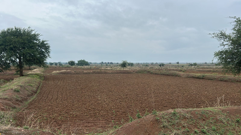  5 Ares Agricultural/Farm Land for Sale in Ahiwara, Durg