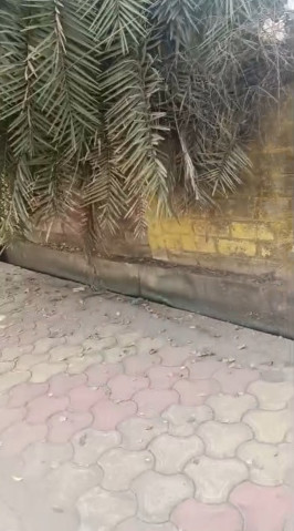  4000 Sq.ft. Commercial Land for Sale in Avanti Vihar, Raipur