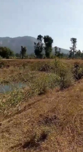  100 Acre Agricultural/Farm Land for Sale in Mungeli Road, Bilaspur