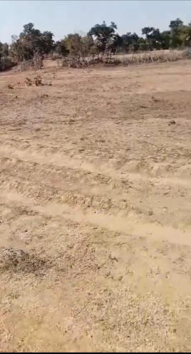  100 Acre Agricultural/Farm Land for Sale in Mungeli Road, Bilaspur