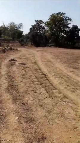  100 Acre Agricultural/Farm Land for Sale in Mungeli Road, Bilaspur
