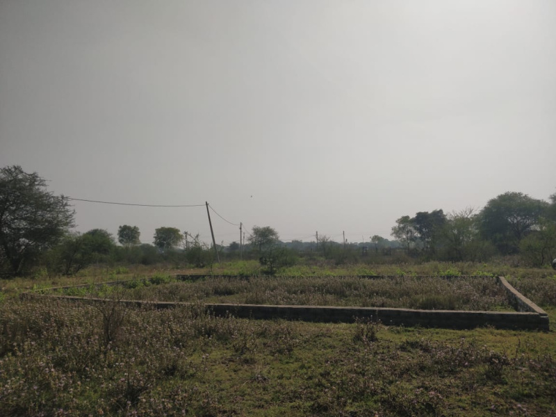  10 Acre Industrial Land for Sale in Siltara, Raipur
