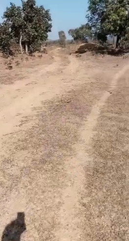  10 Acre Industrial Land for Sale in Siltara, Raipur