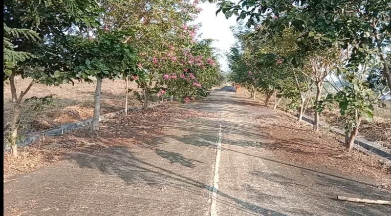  25 Acre Agricultural/Farm Land for Sale in Urla, Raipur