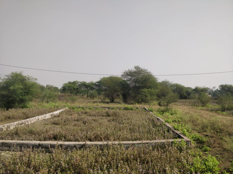  200000 Sq.ft. Agricultural/Farm Land for Sale in Kumhari, Raipur