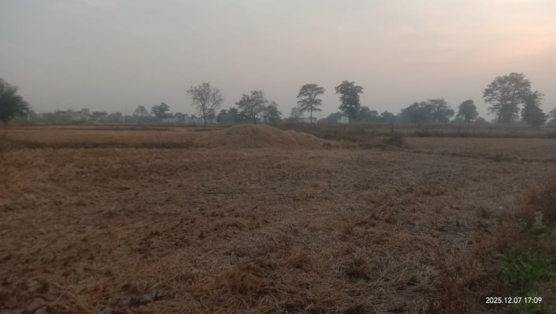  30 Acre Agricultural/Farm Land for Sale in Kharora, Raipur