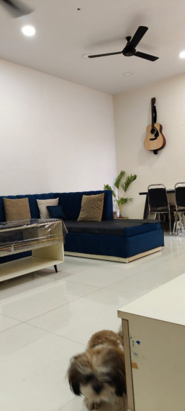 3 BHK 2500 Sq.ft. Villa for Sale in Avanti Vihar, Raipur